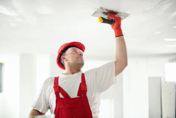 Reliable Newark, CA Drywall & Painting Services Solutions